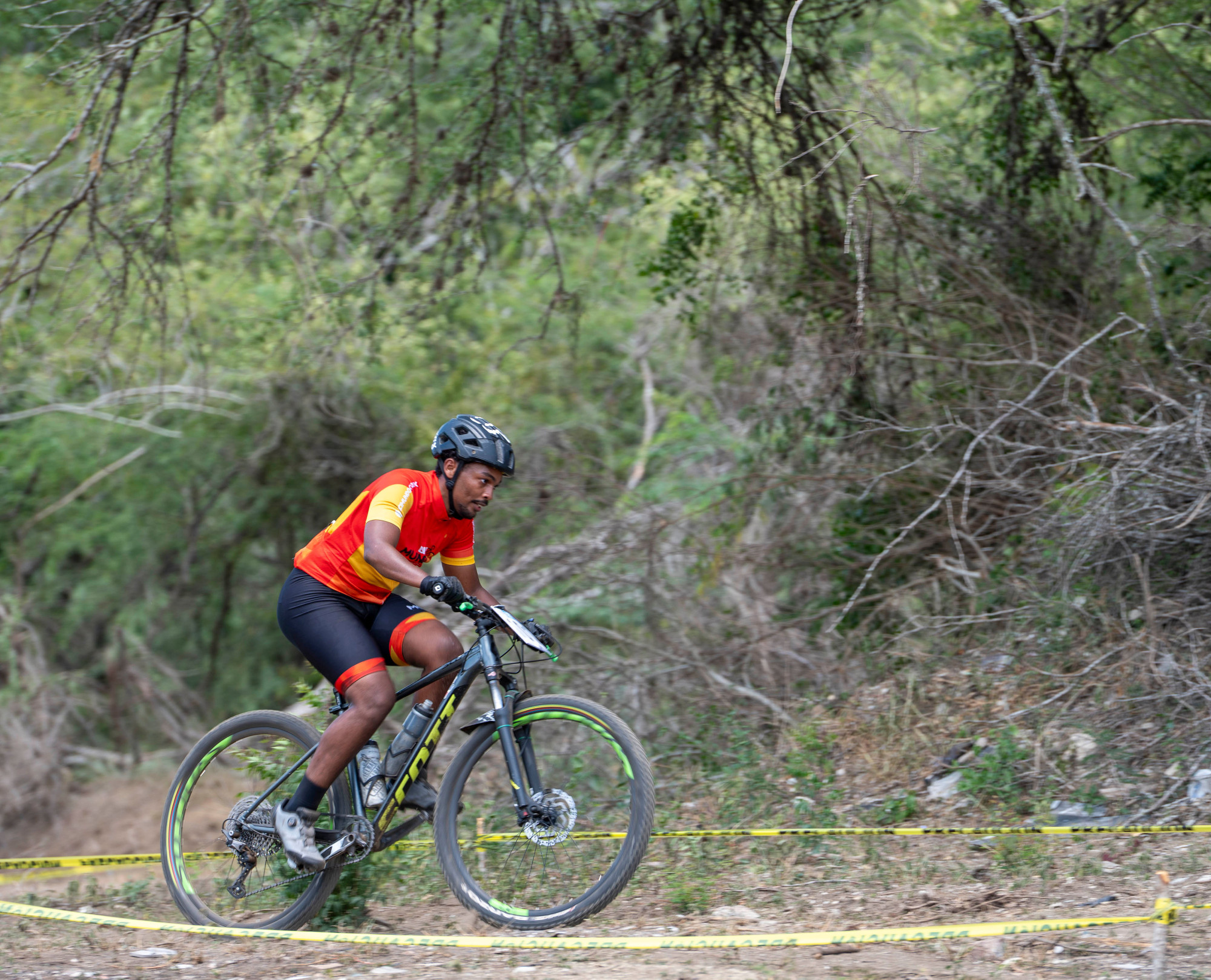 TAVERAS REINOSO Gabriel